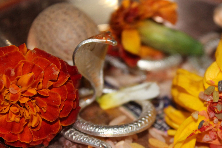 நலங்கள் பெருக ராகு கால பூஜை!